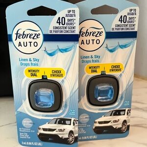 Set of 2 - Car air fresheners